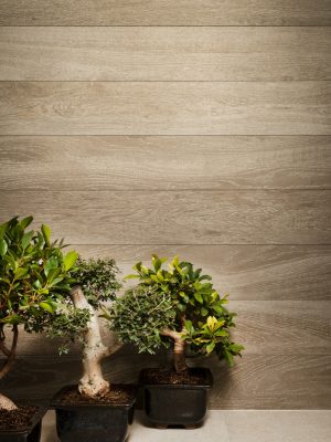 Palmi Tan is a porcelain tile with the look of hardwood floors in light brown color from Spain