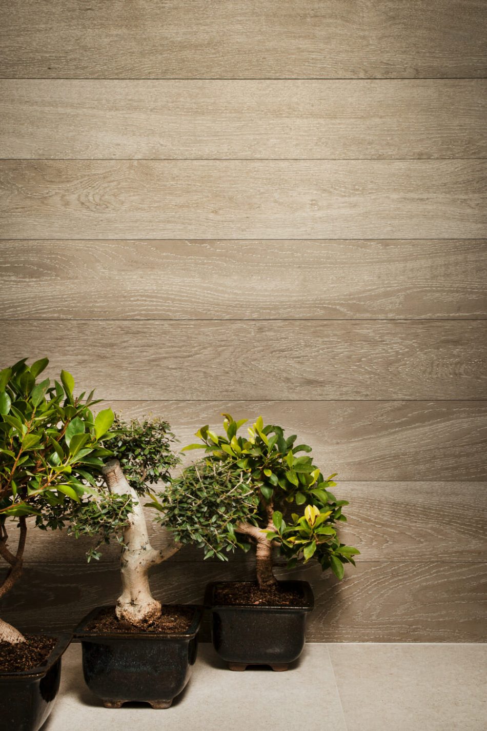 Palmi Tan is a porcelain tile with the look of hardwood floors in light brown color from Spain