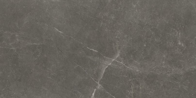 design picture of 24x48 Altamura tile in the matte finish