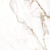 Calacatta Gold Look Tile Alba Gold 48x48 Face