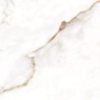 Alba Gold Calacatta Look 24x48 Tile Face Polished