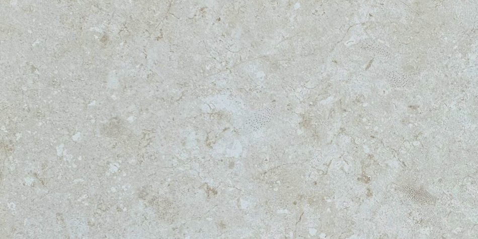 Corallina Stone porcelain tile face number 2with a coral limestone look and subtle fossil details