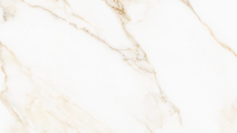 Calacatta Puro polished porcelain tile face in a 24x48 format
