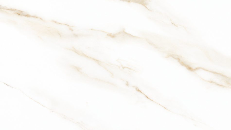 Individual Calacatta Puro 24x48 polished porcelain tile face with Calacatta marble look