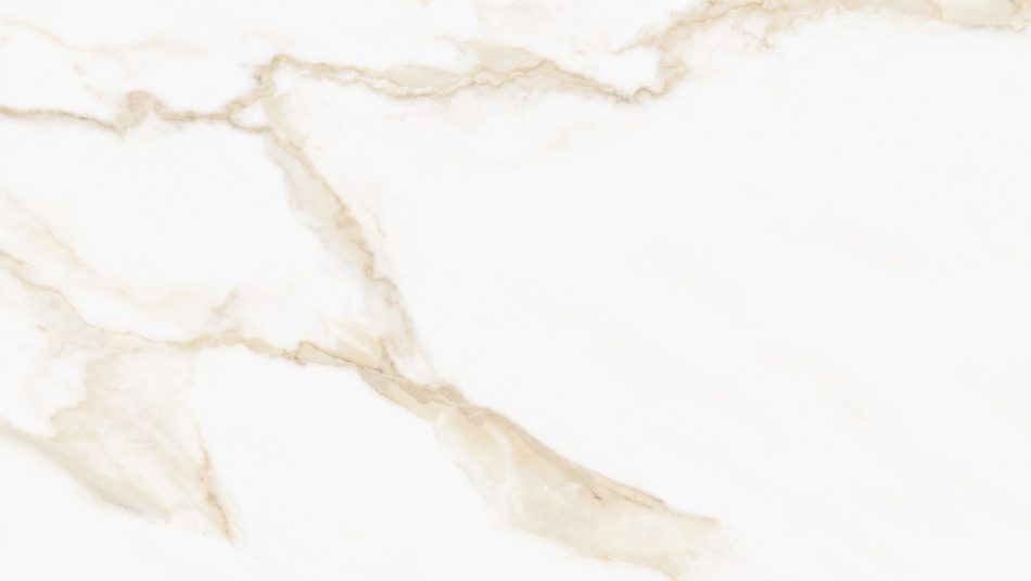 Calacatta Puro polished 24x48 porcelain tile face in a Calacatta marble look